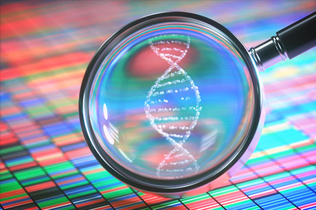 DNA helix