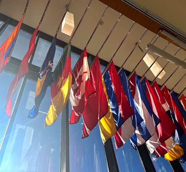 Flag display 01