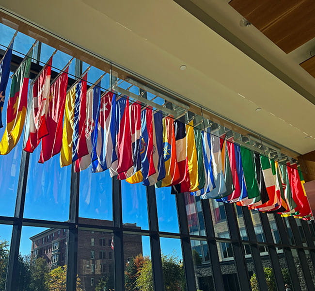 Flag display 02