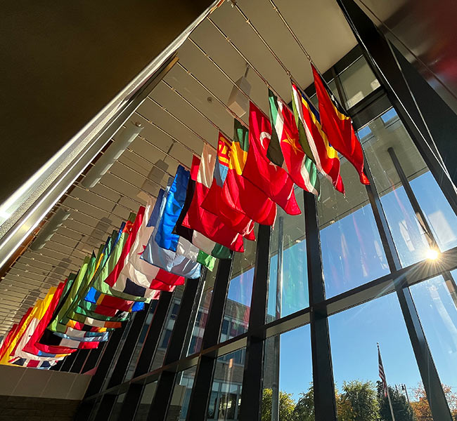 Flag display 03