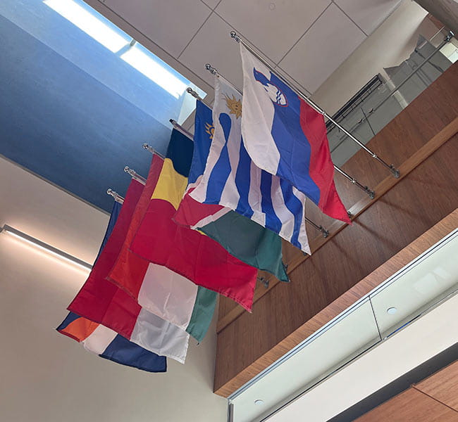 Flag display 04