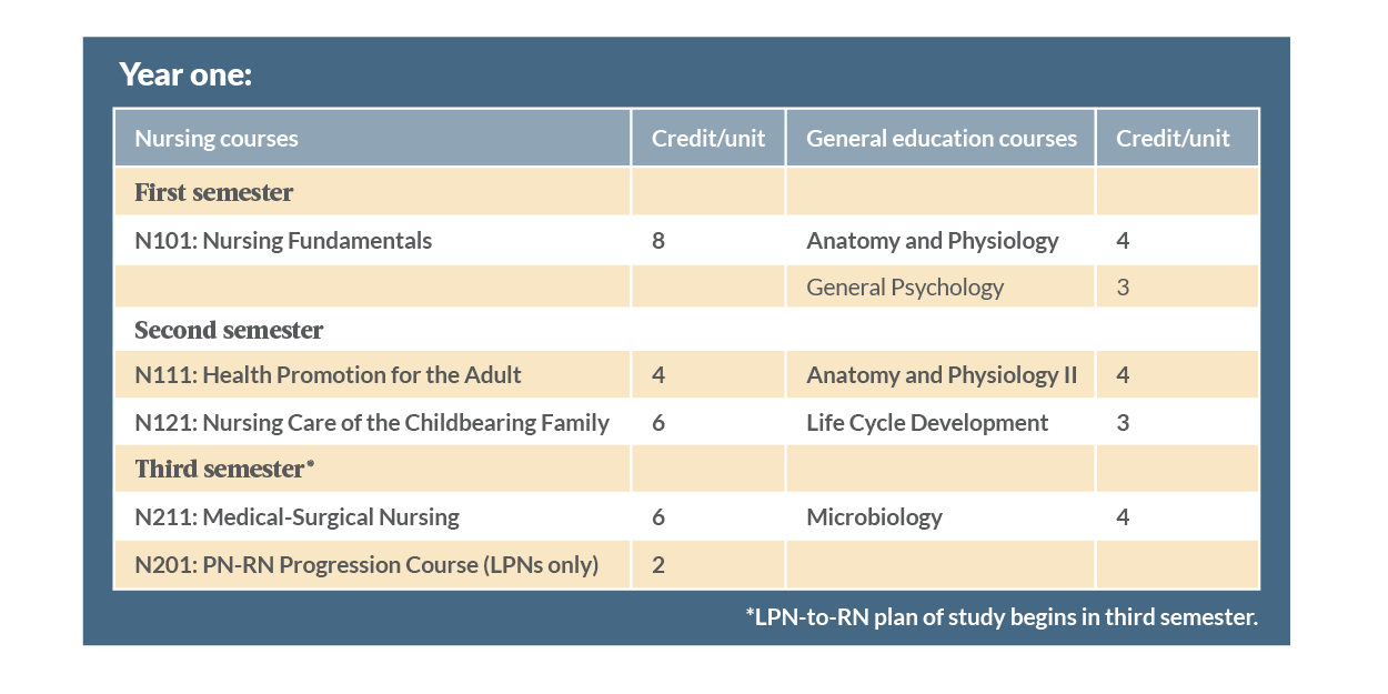 Plan of study year one