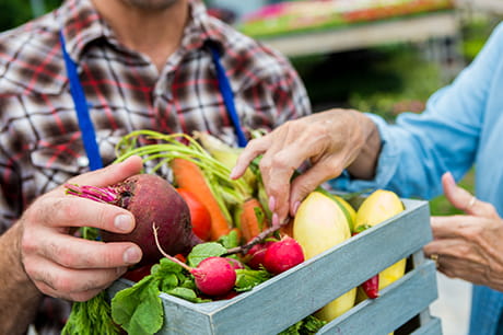 an image of someone choosing healthy food