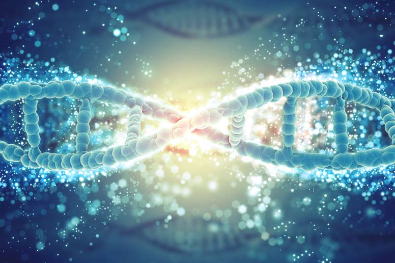 DNA helix